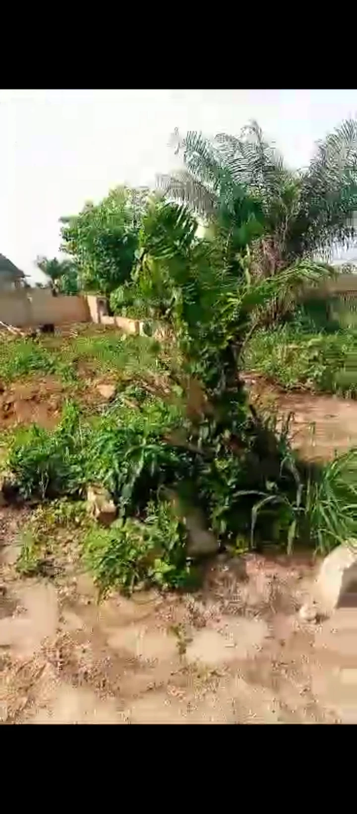 Land for Sale in Ogheoghe sapele road, Edo - Image 1