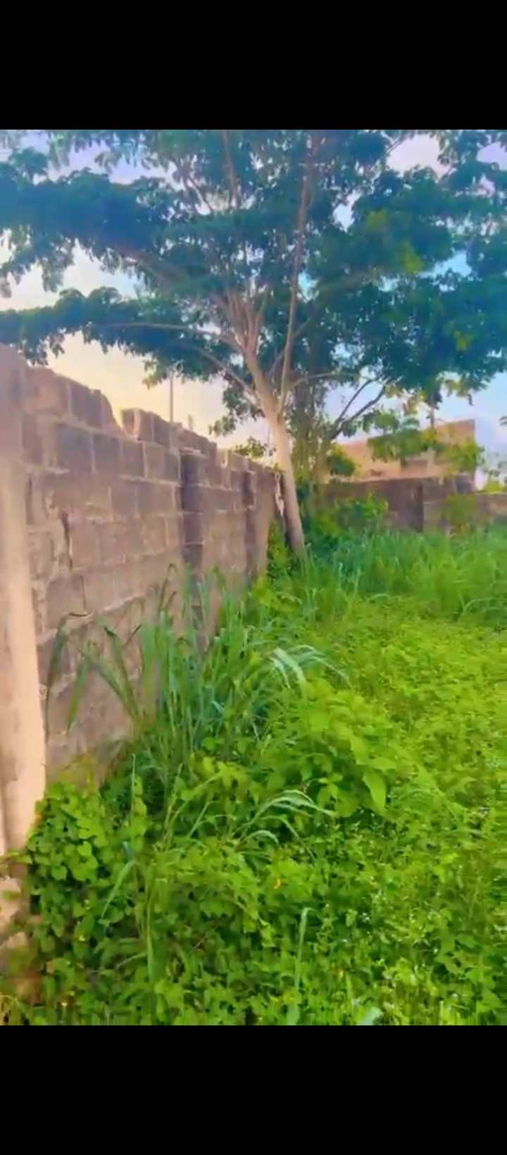 Land for Sale in Country home, Edo - Image 3