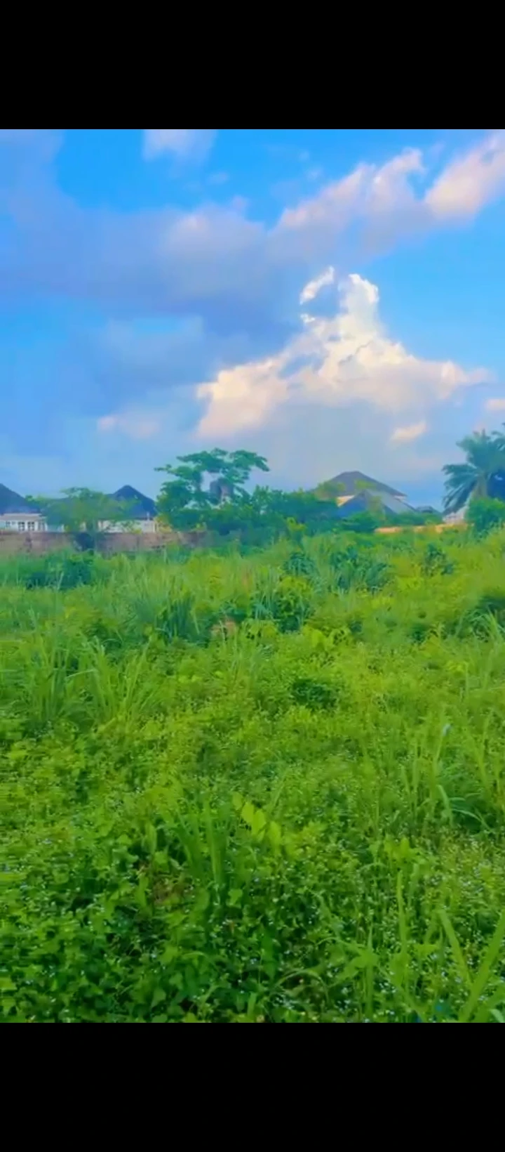 Land for Sale in Country home, Edo - Image 4