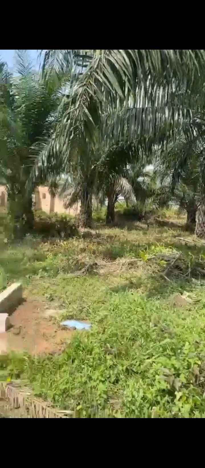Land for Sale in Sapele road bypass, Edo - Image 3