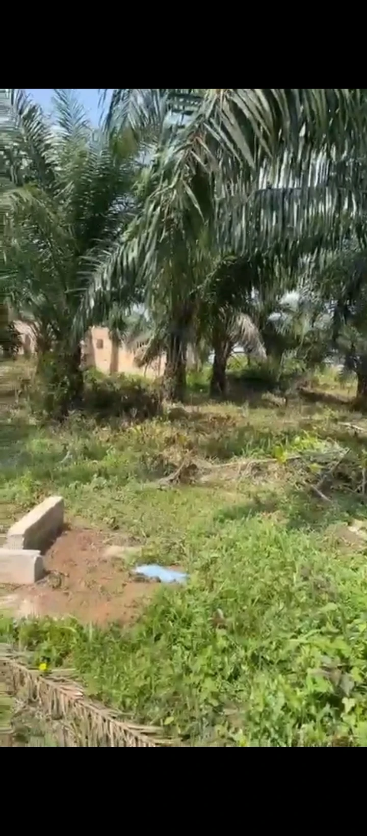 Land for Sale in Sapele road bypass, Edo - Image 2