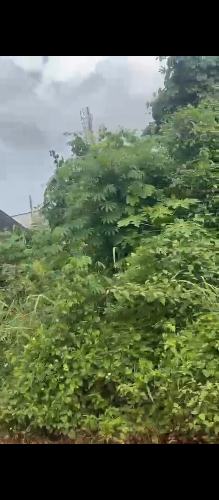 Land for Sale in Sapele road, Edo - Image 4