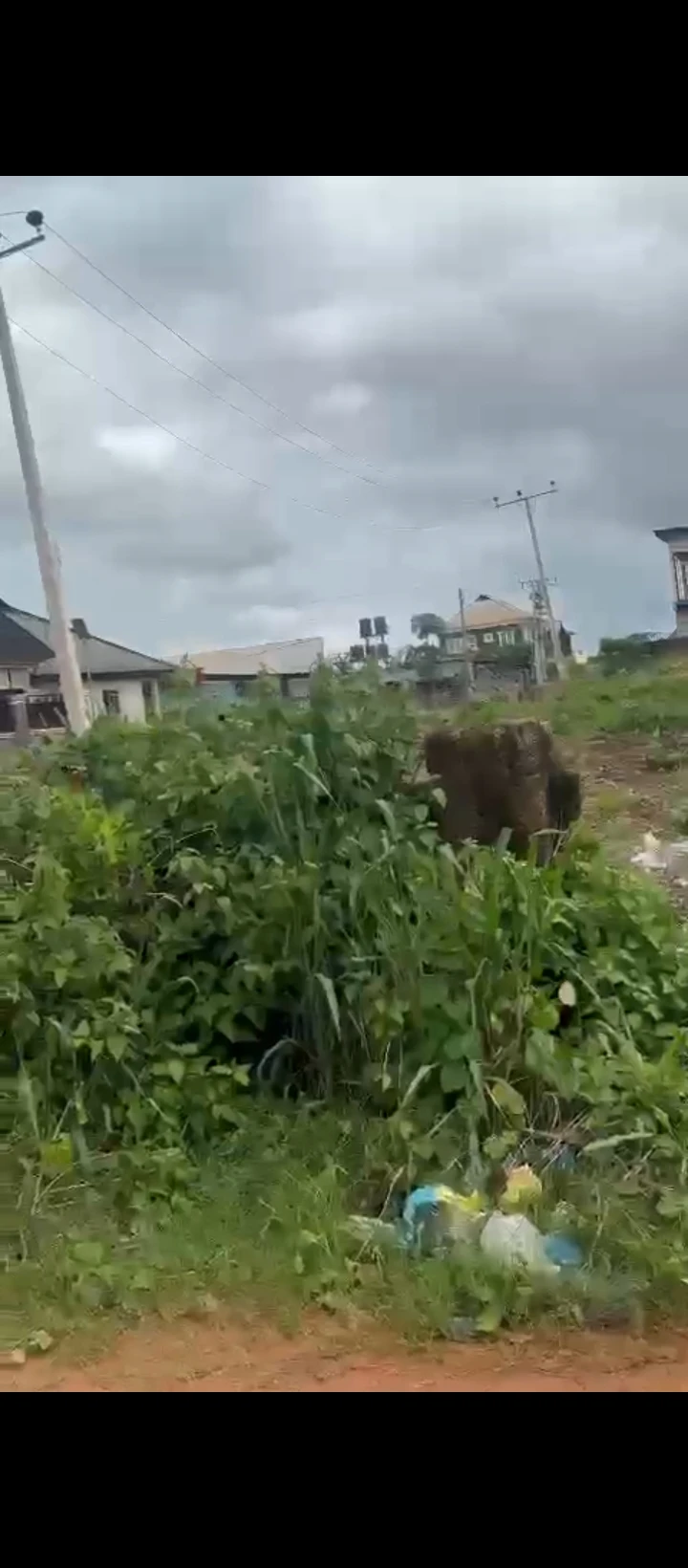 Land for Sale in Sapele road, Edo - Image 2
