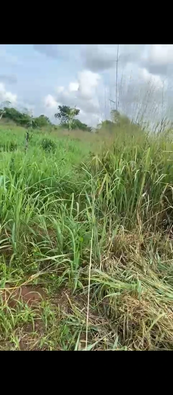 Land for Sale in Ayen community egba, Edo - Image 4