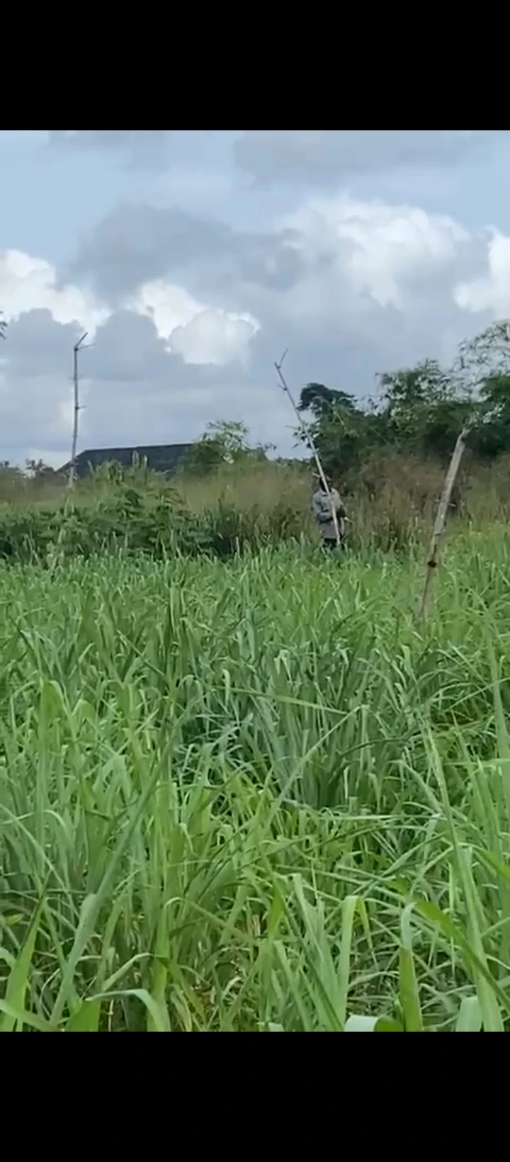 Land for Sale in Ayen community egba, Edo - Image 1