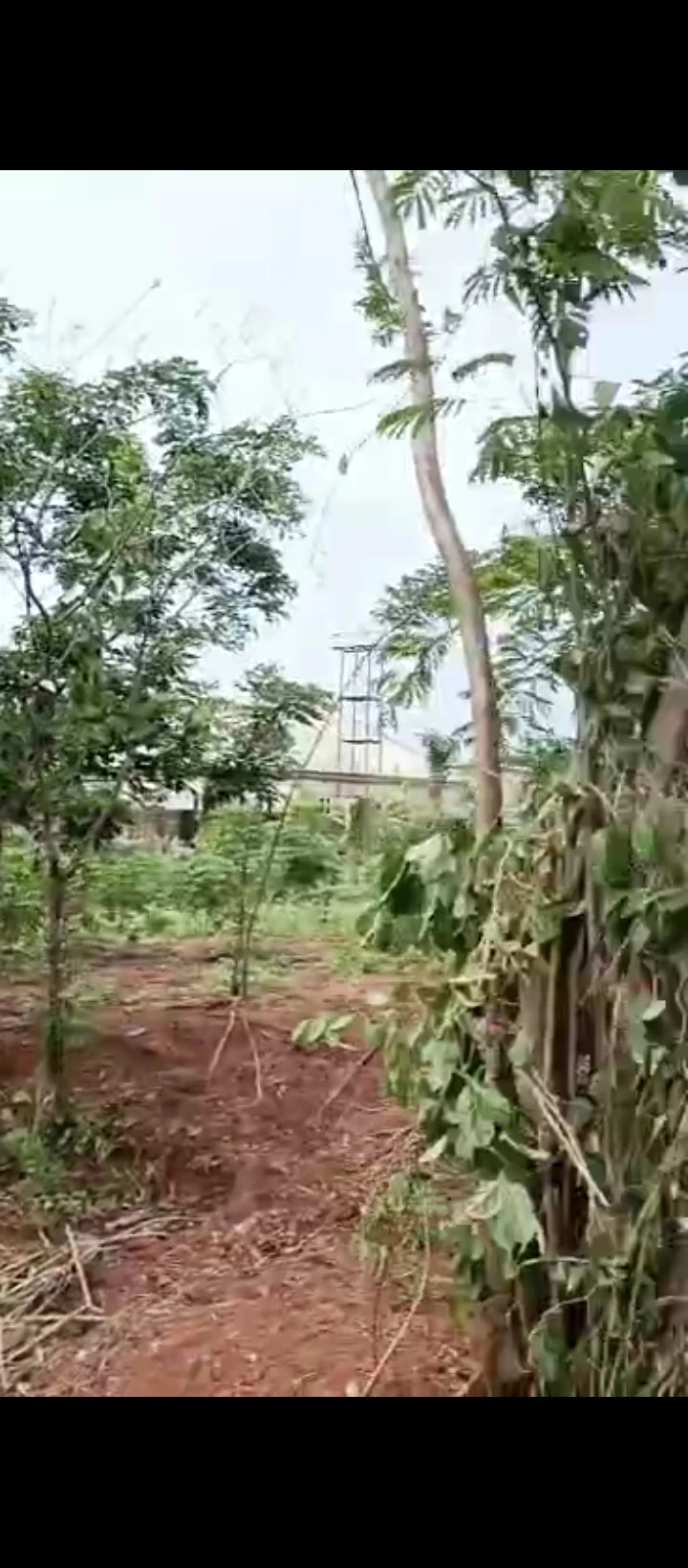 Land for Sale in Ugbor, Edo - Image 1