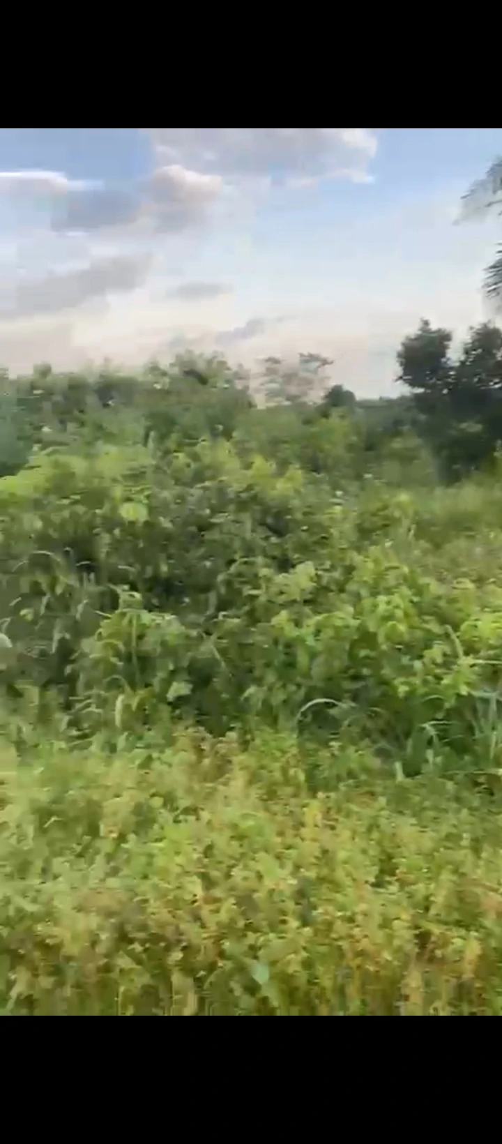 Land for Sale in Airport road, Edo - Image 1