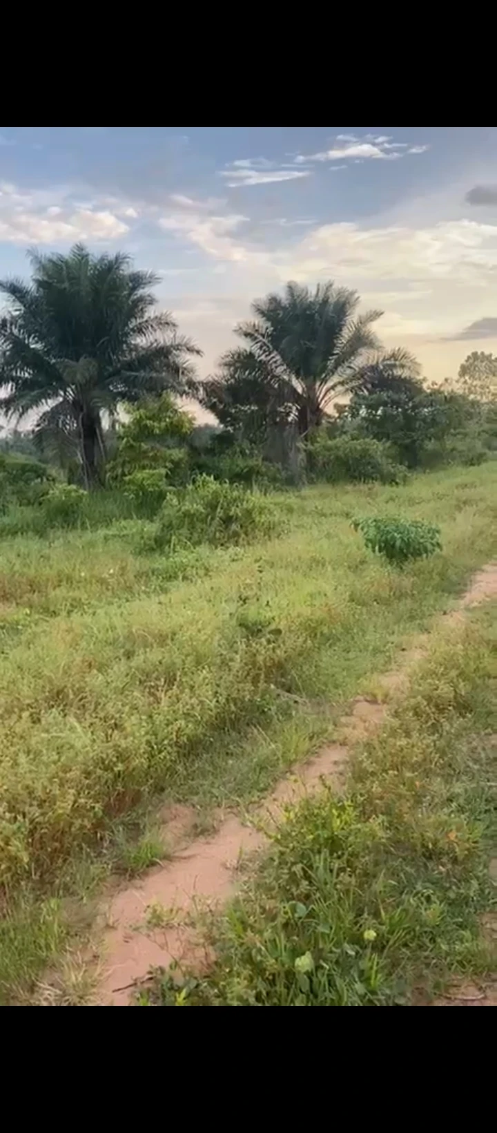 Land for Sale in Airport road, Edo - Image 3