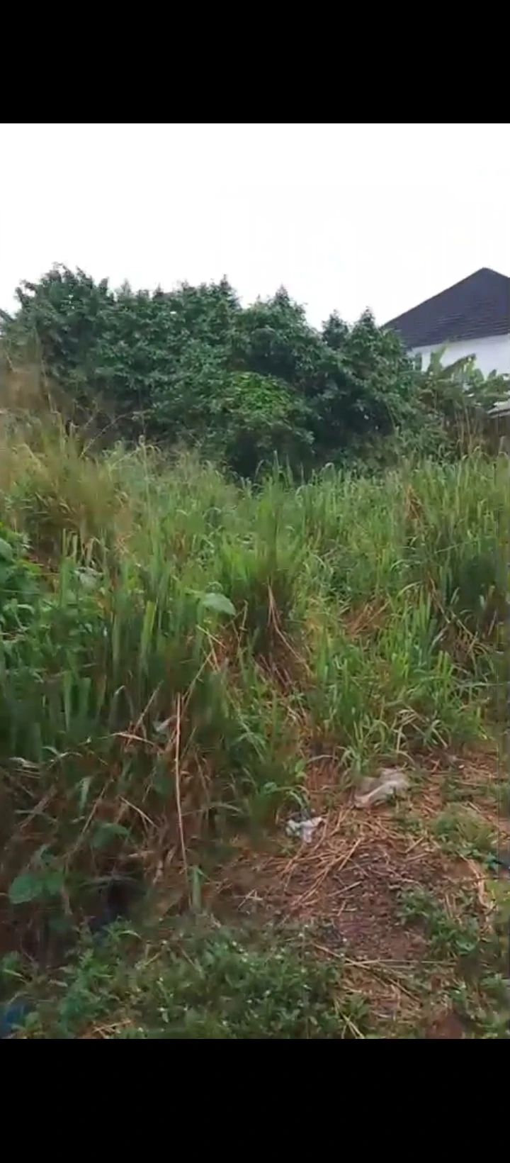 Land for Sale in Ugbor, Edo - Image 1