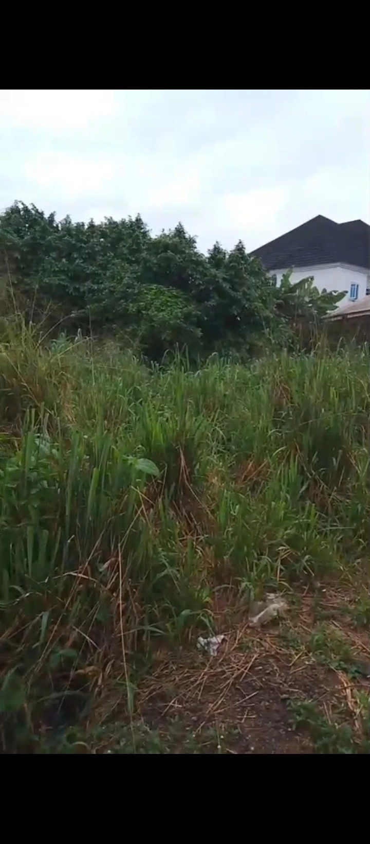 Land for Sale in Ugbor, Edo - Image 3