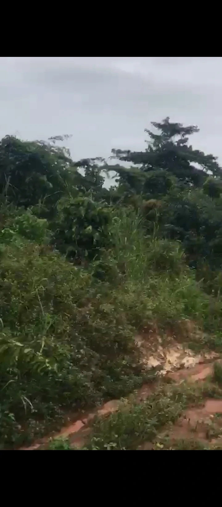 Land for Sale in Egbirhe, Edo - Image 3