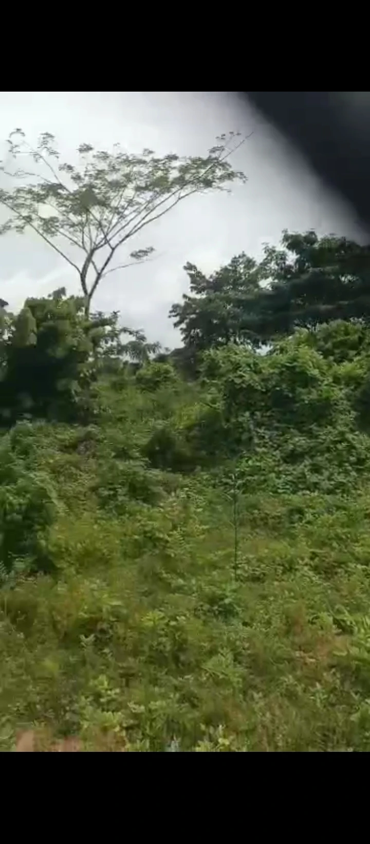 Land for Sale in Okhoromi airport road, Edo - Image 3