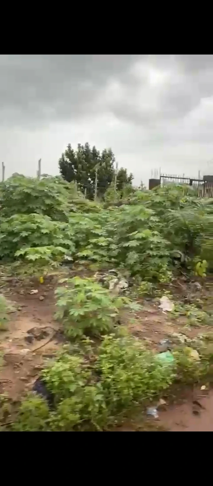 Land for Sale in Ogunwemnyi, Edo - Image 3
