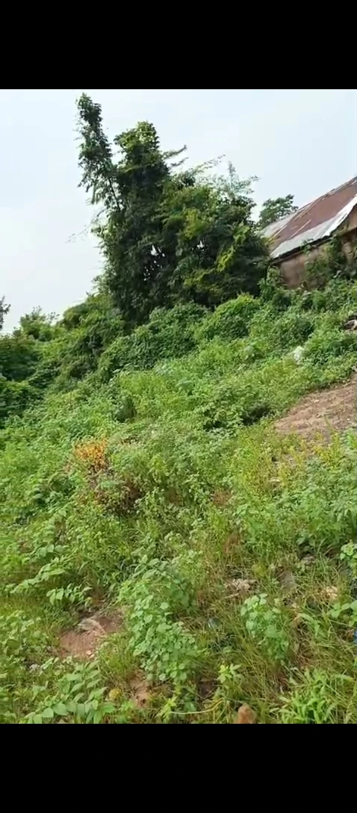 Land for Sale in Country home, Edo - Image 3