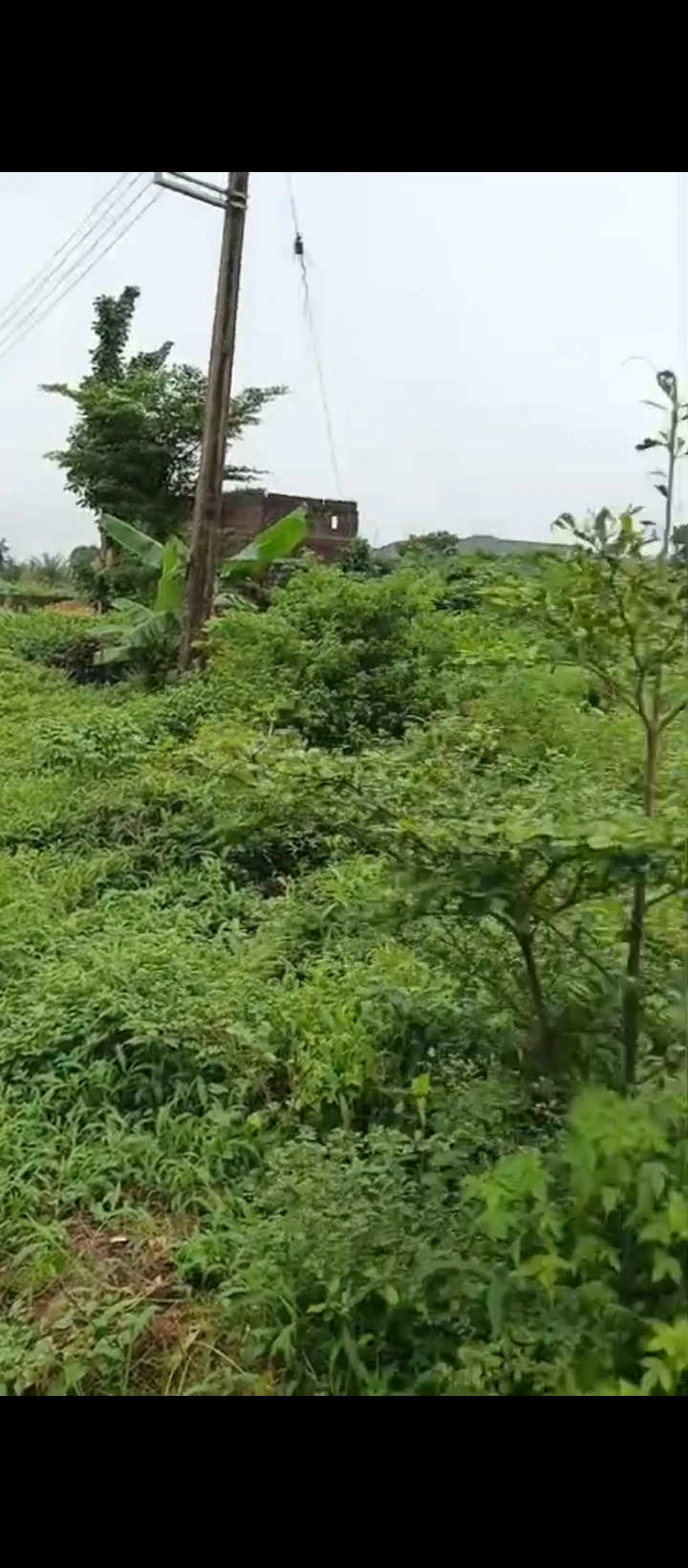 Land for Sale in Country home, Edo - Image 1