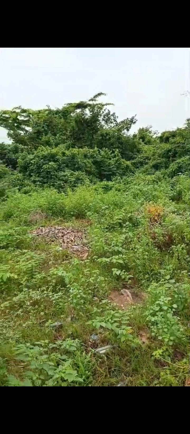 Land for Sale in Country home, Edo - Image 4