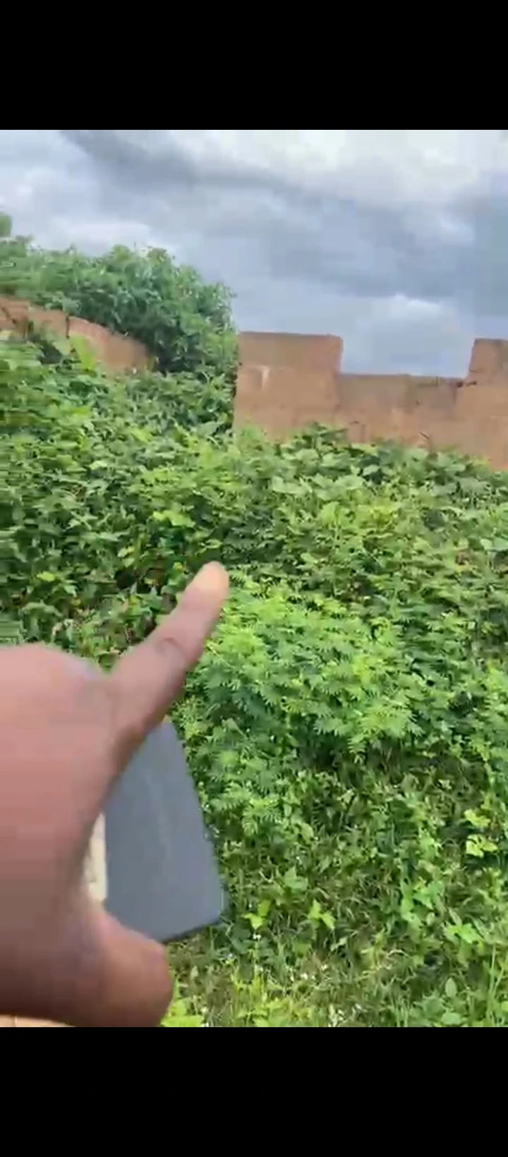 Land for Sale in Azagba, Edo - Image 4