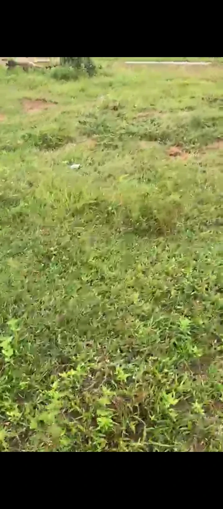Land for Sale in Azagba, Edo - Image 3