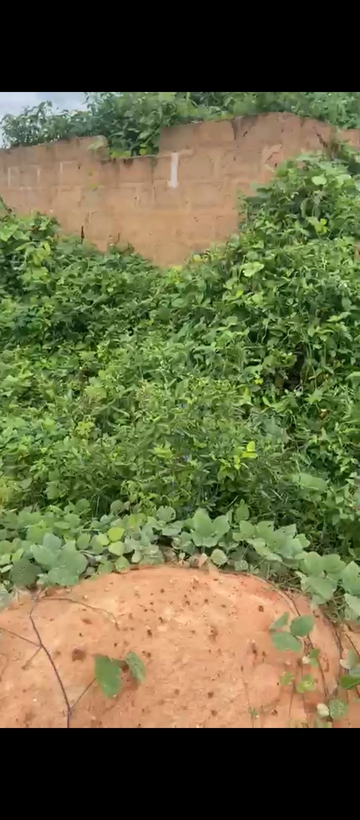 Land for Sale in Azagba, Edo - Image 5