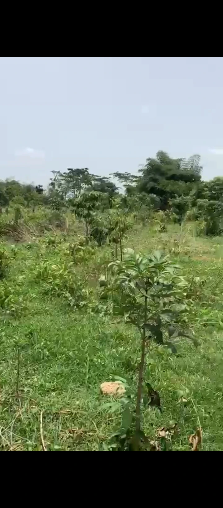 Land for Sale in Benin city, Edo - Image 2