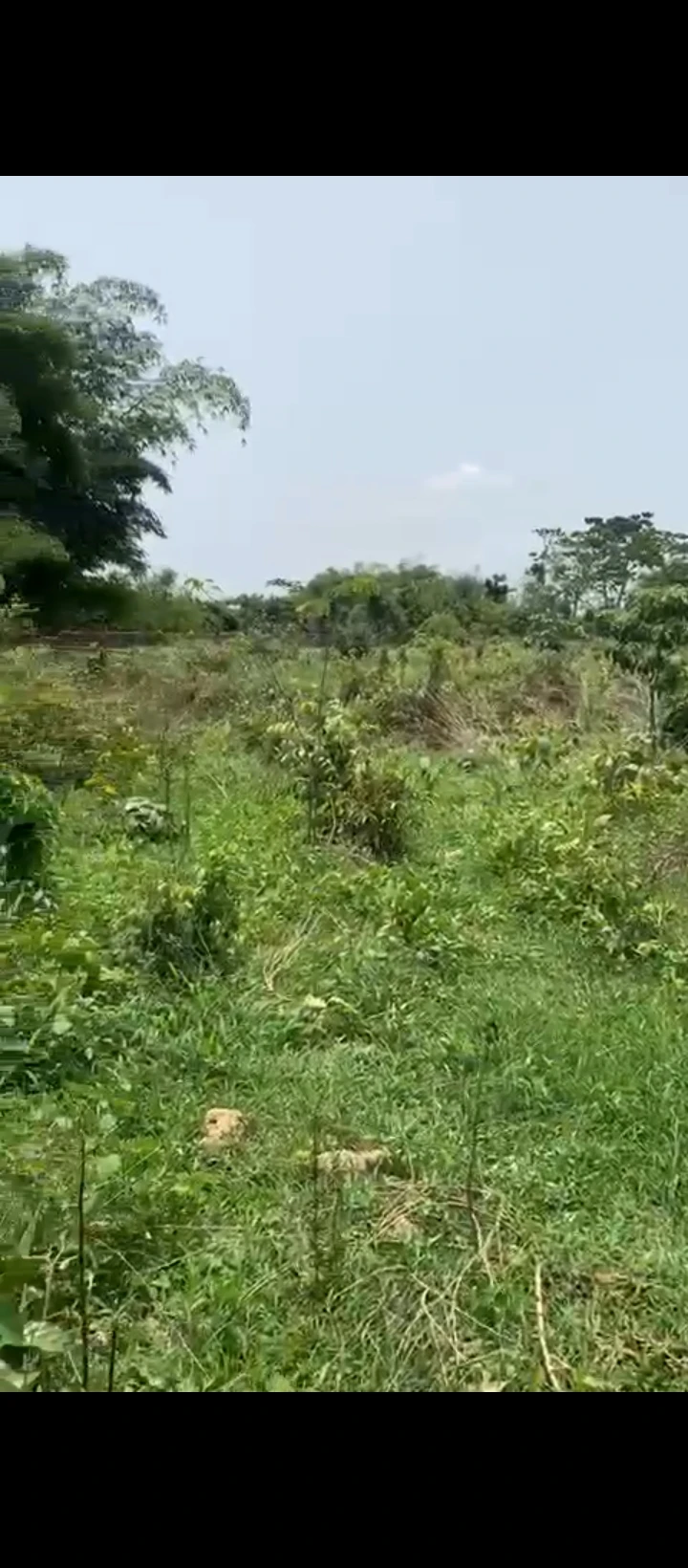 Land for Sale in Benin city, Edo - Image 1