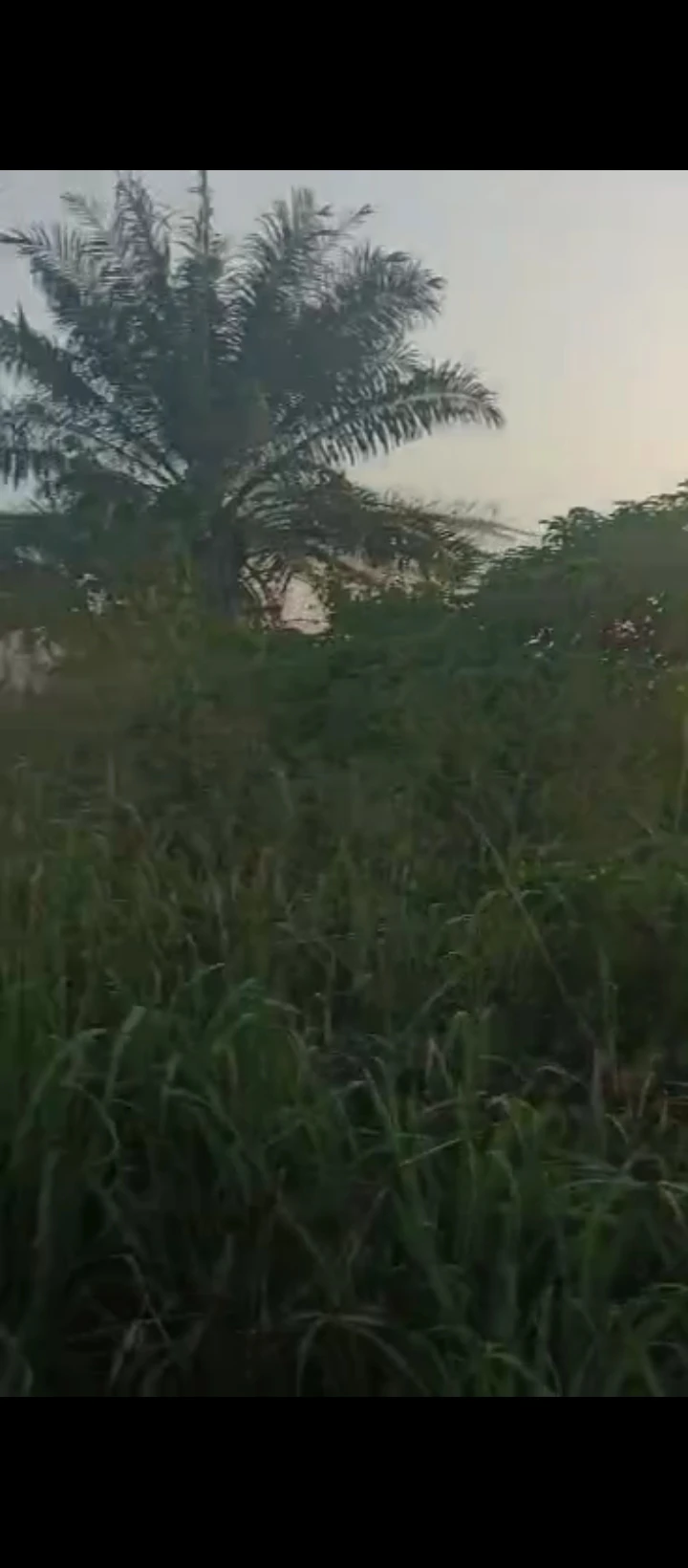 Land for Sale in Iyanomo sapele road bypass, Edo - Image 3
