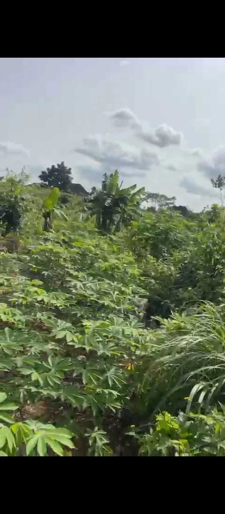 Land for Sale in Obagie sapele road, Edo - Image 3