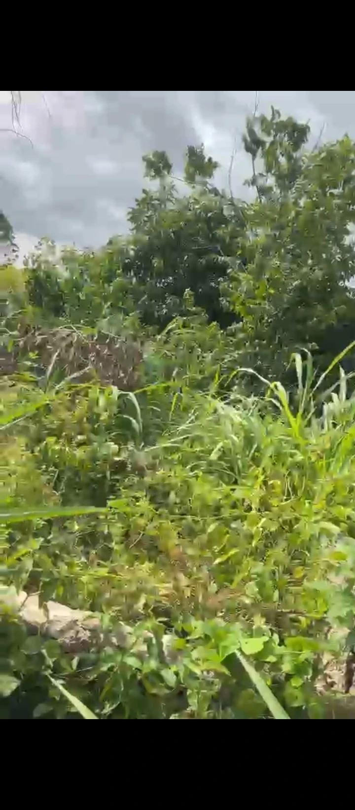 Land for Sale in Obagie sapele road, Edo - Image 5