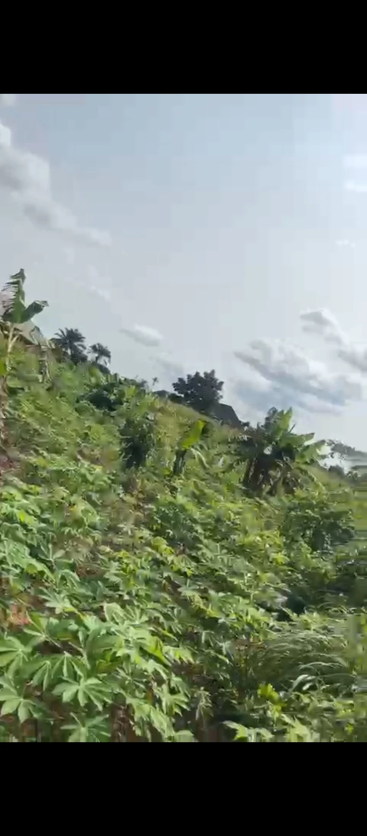 Land for Sale in Obagie sapele road, Edo - Image 6