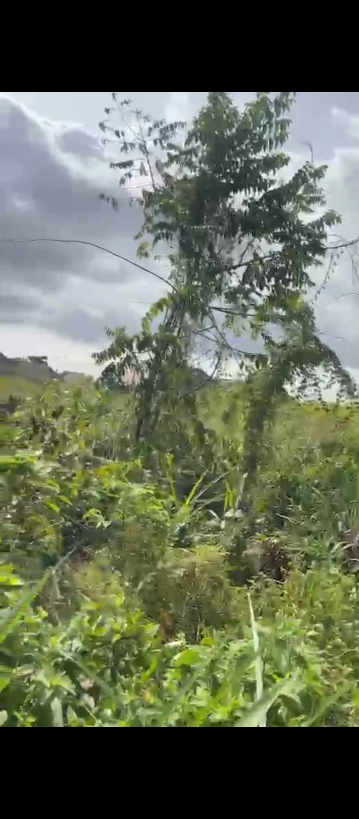 Land for Sale in Obagie sapele road, Edo - Image 4