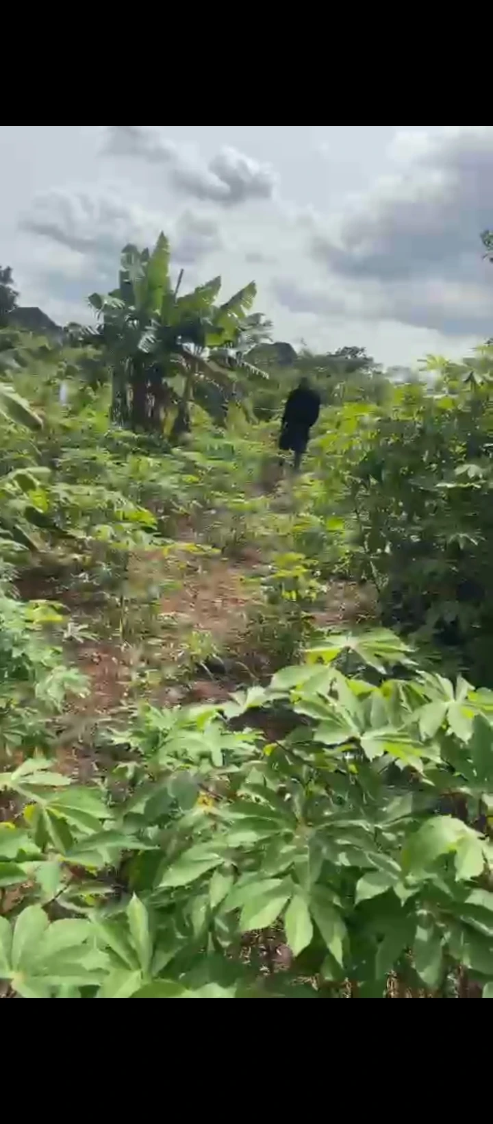 Land for Sale in Obagie sapele road, Edo - Image 1