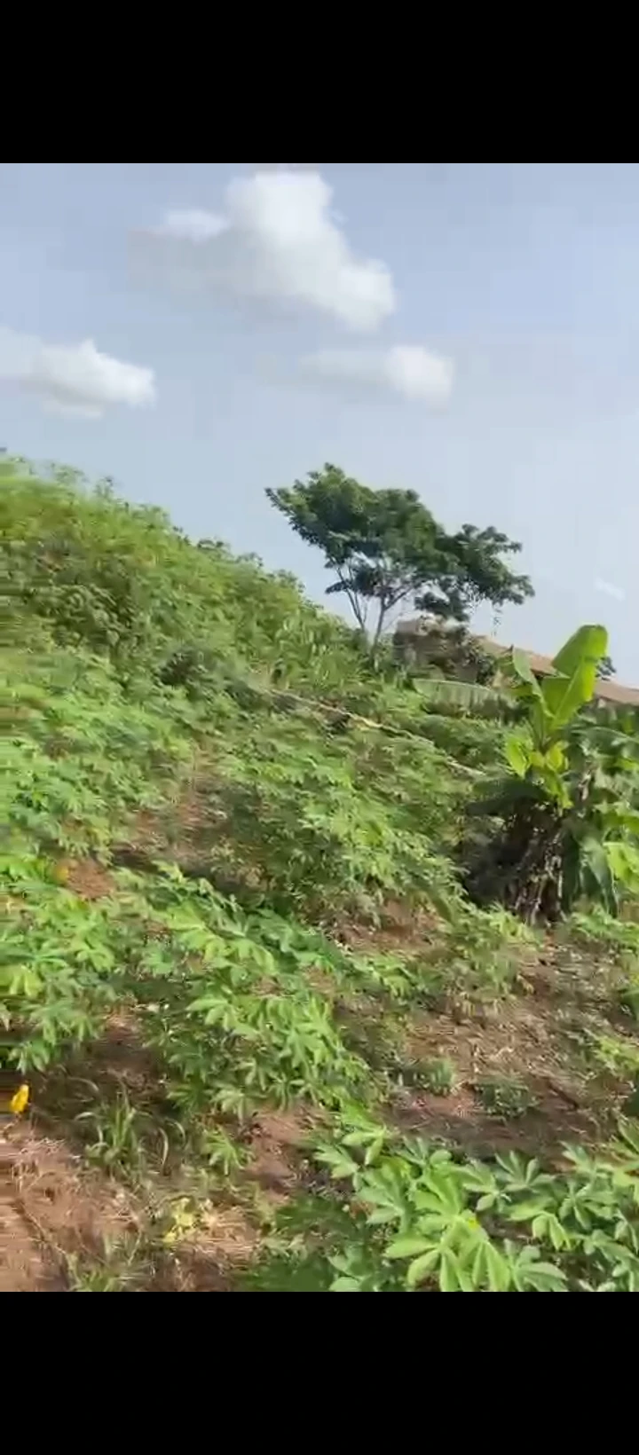 Land for Sale in Obagie sapele road, Edo - Image 2
