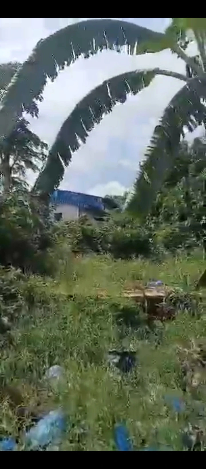 Land for Sale in Sapele road, Edo - Image 2