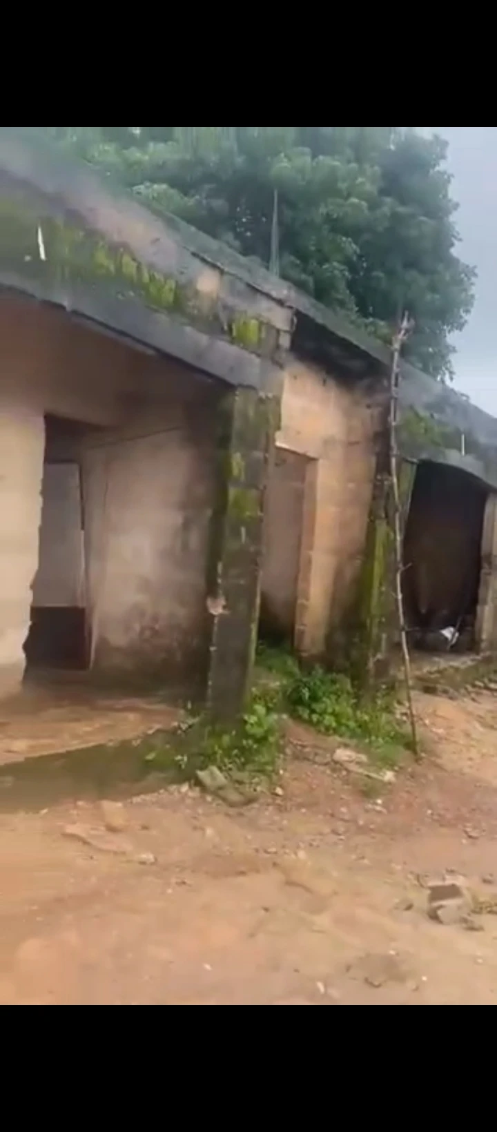 Land for Sale in Ugbor, Edo - Image 2