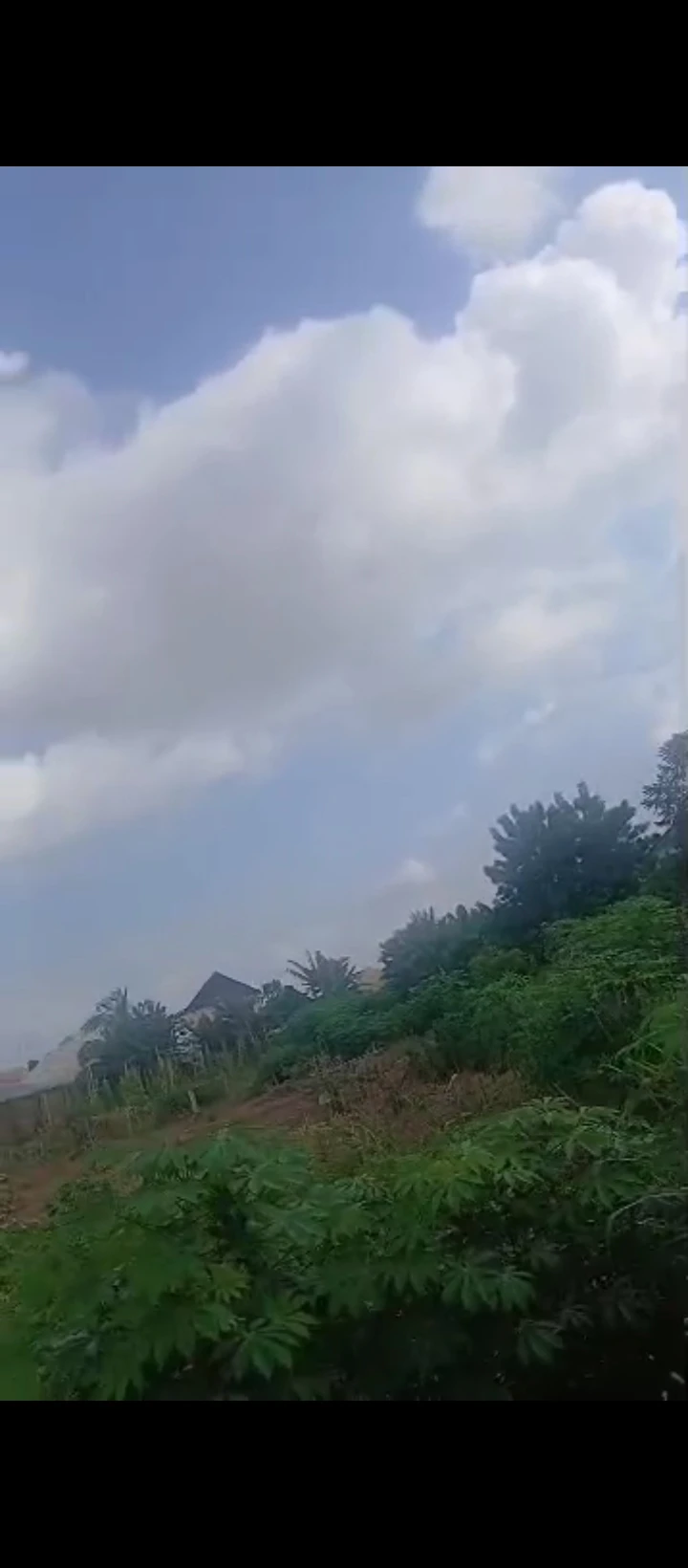 Land for Sale in Ebo airport road, Edo - Image 6