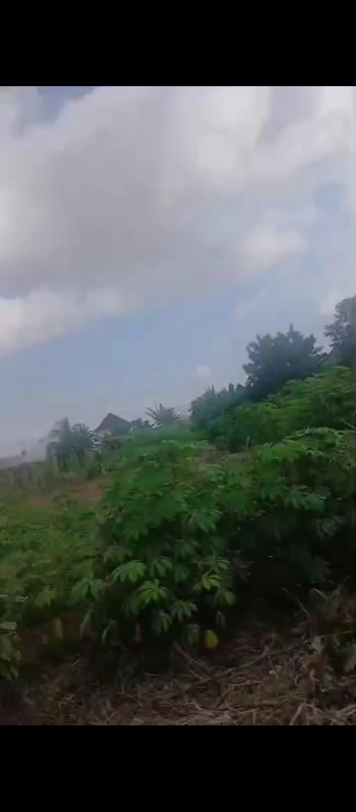 Land for Sale in Ebo airport road, Edo - Image 3