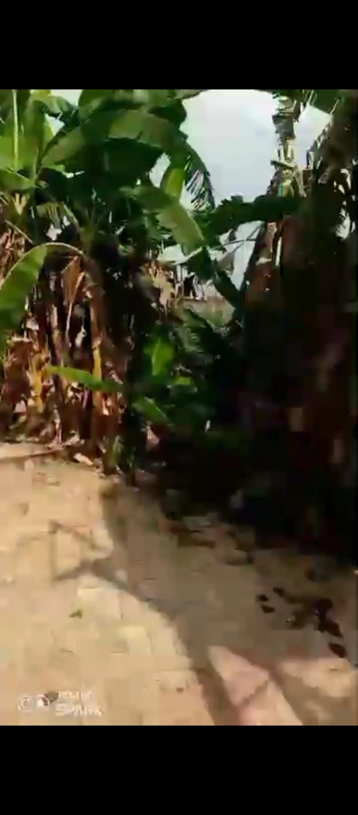 3 Bedroom Flat for Sale in Sapele road, Edo - Image 4