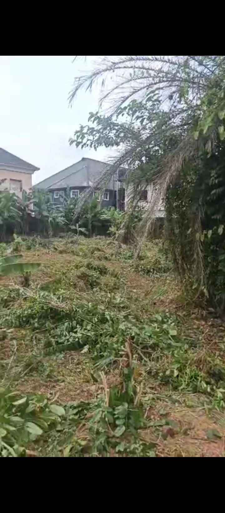 Land for Sale in Sapele road, Edo - Image 1