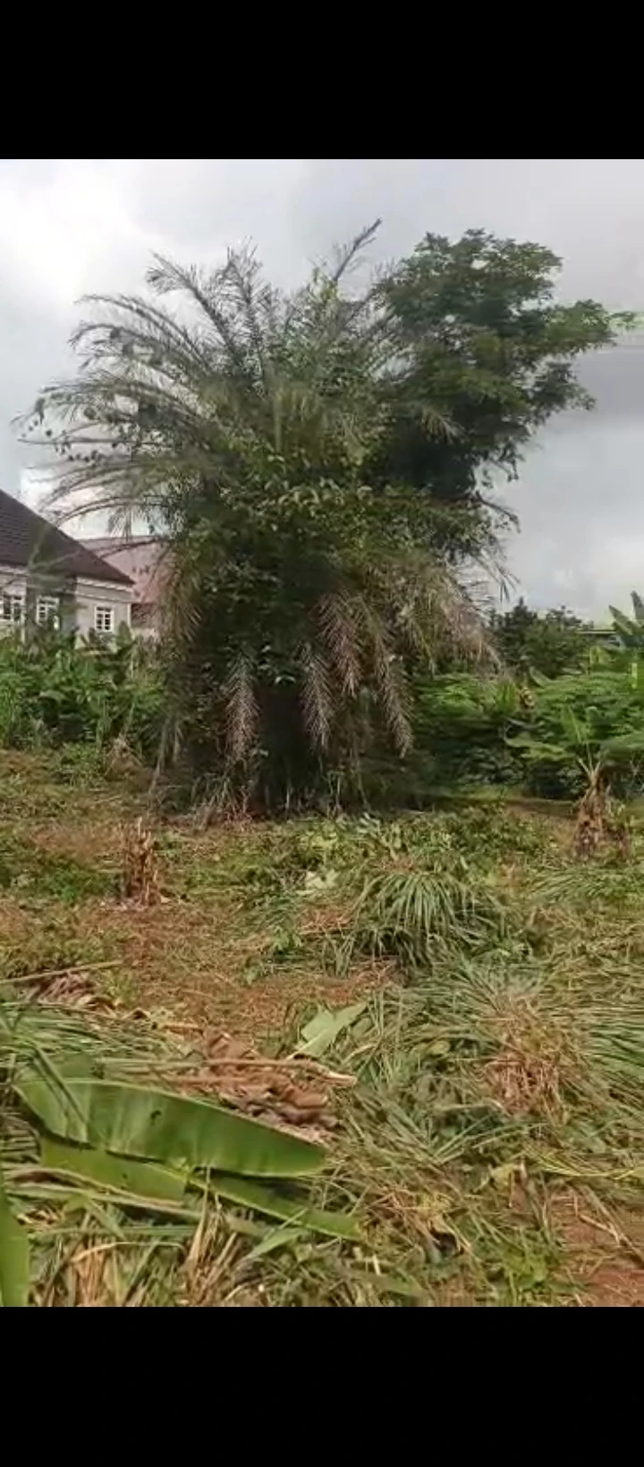 Land for Sale in Sapele road, Edo - Image 5
