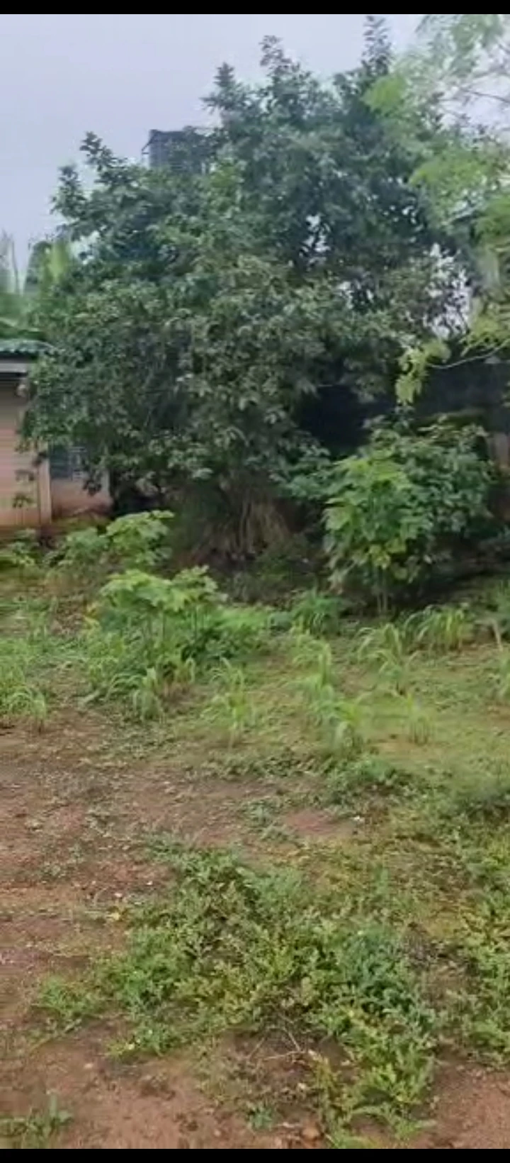 Bungalow for Sale in Boundary road/adesuwa, Edo - Image 1