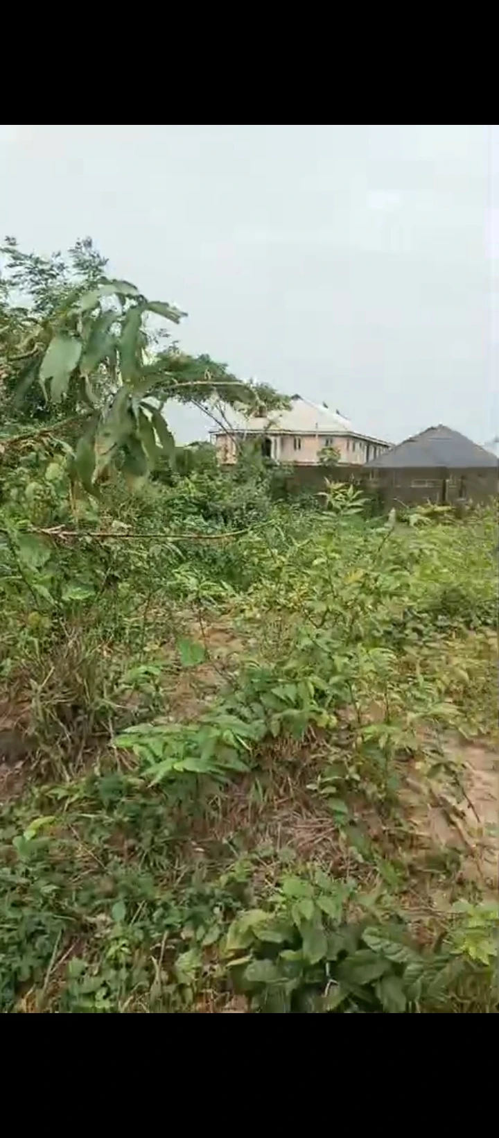 Land for Sale in Ugbor, Edo - Image 3
