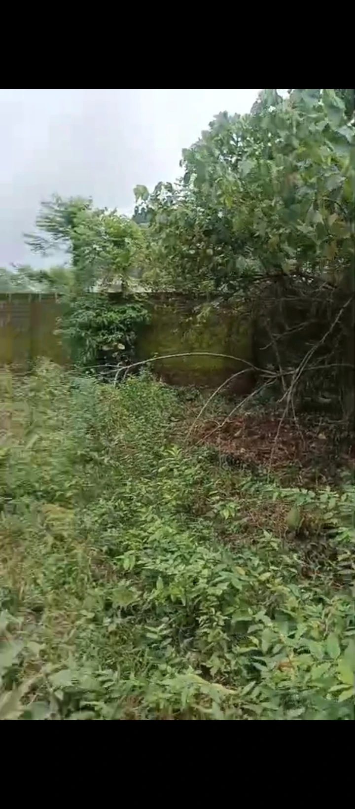 Land for Sale in Ugbor, Edo - Image 2