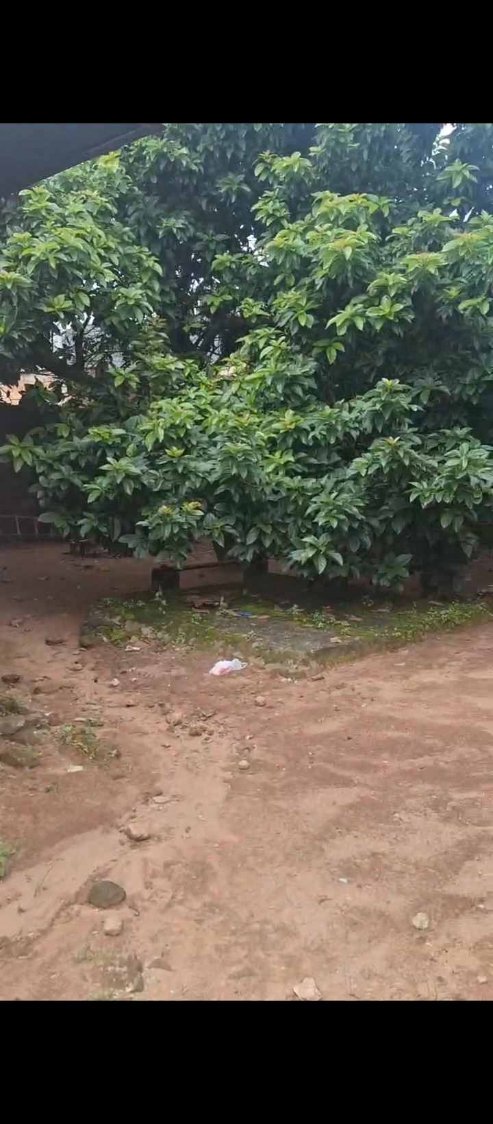 Duplex for Sale in MTN mask ugbor, Edo - Image 6