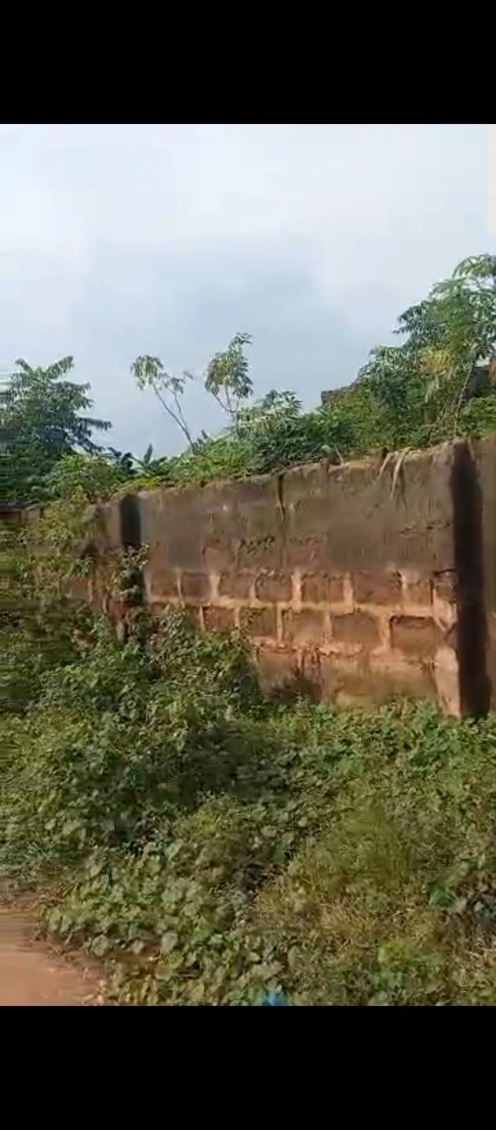 Land for Sale in Ekehuan road, Edo - Image 5
