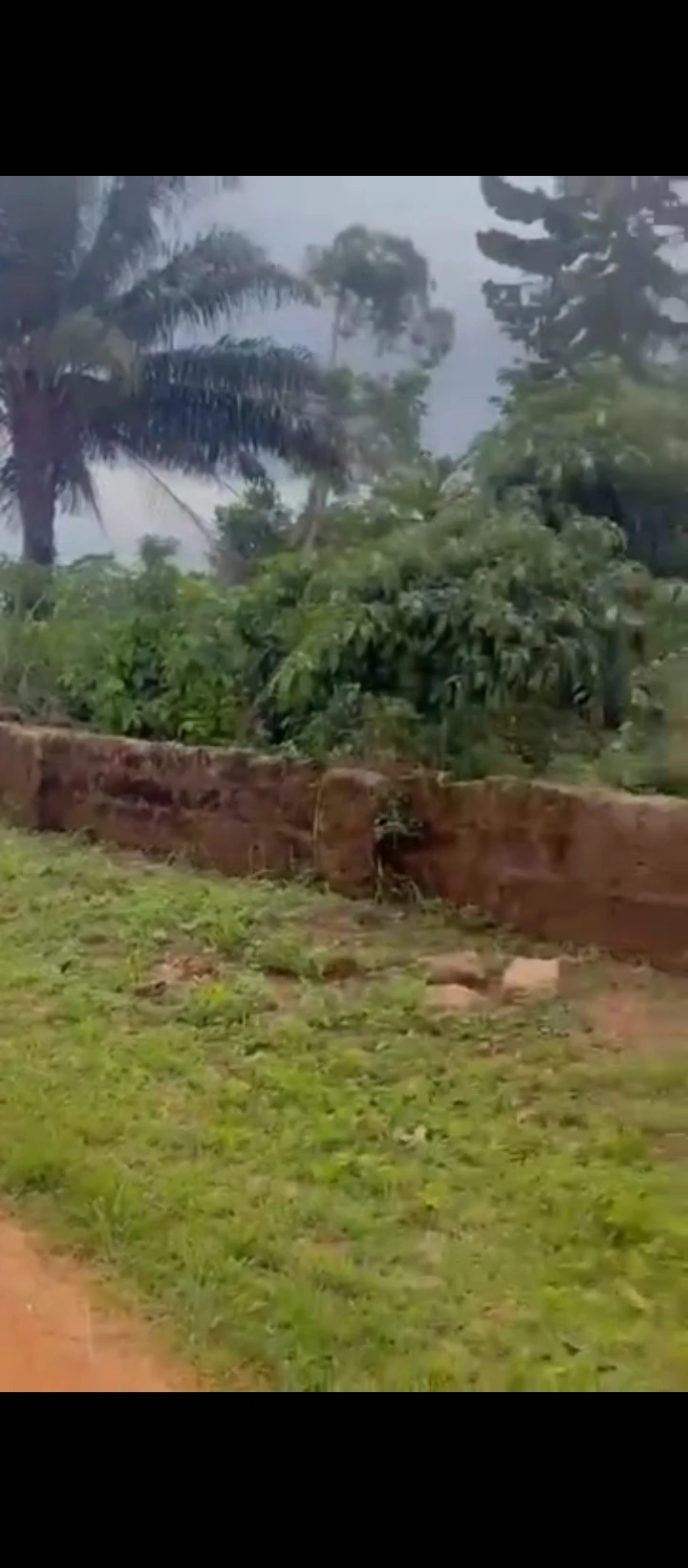 Land for Sale in Arougba airport road, Edo - Image 5