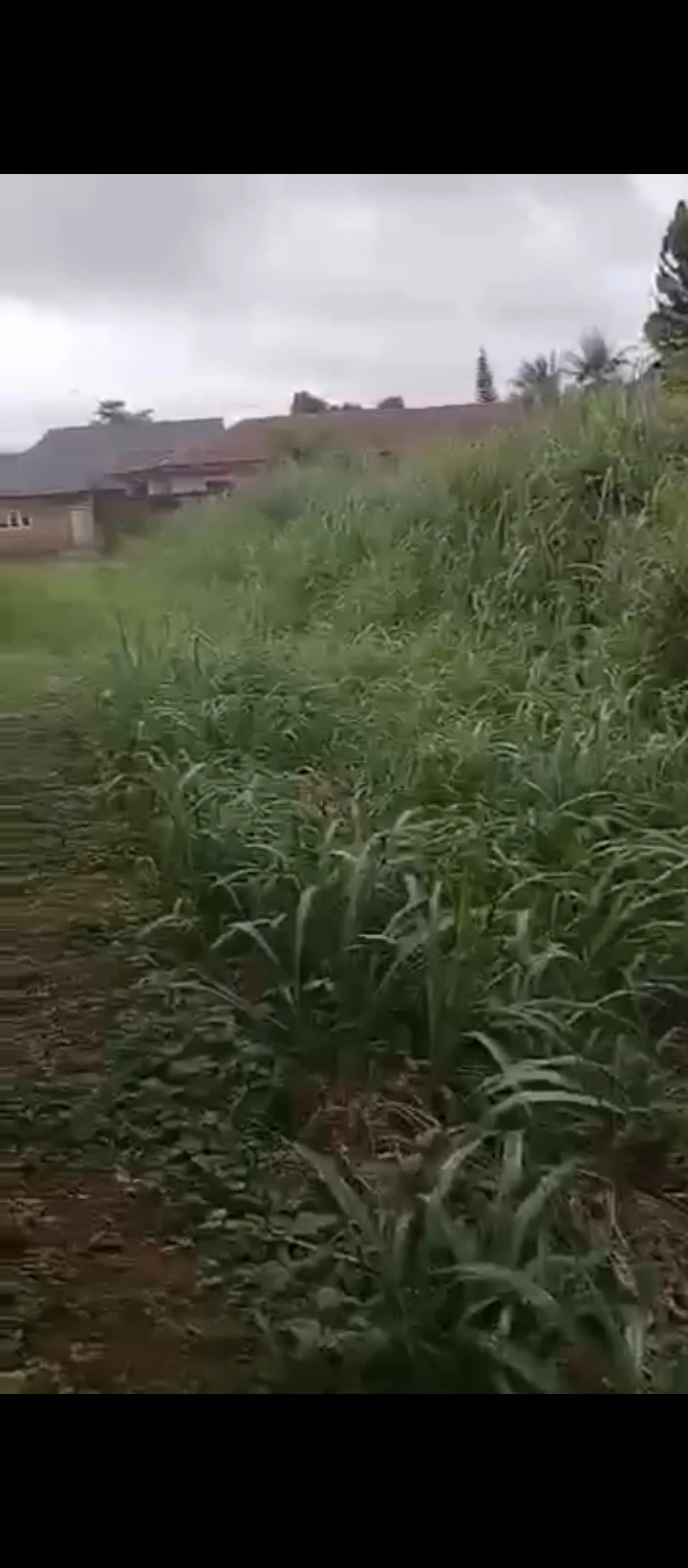 Land for Sale in 2nd ugbor gra, Edo - Image 3
