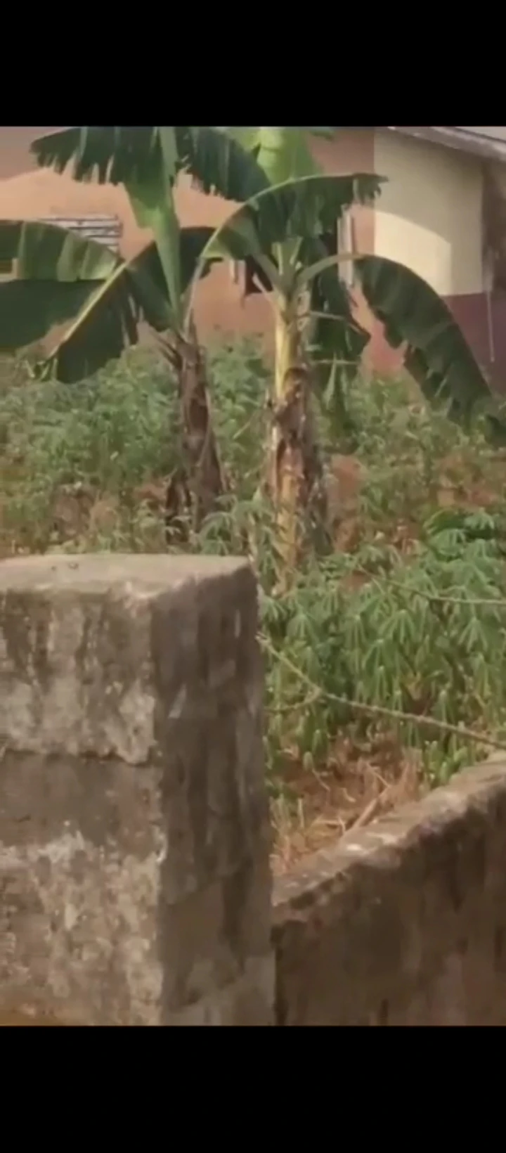 Land for Sale in Lucky way, Edo - Image 2