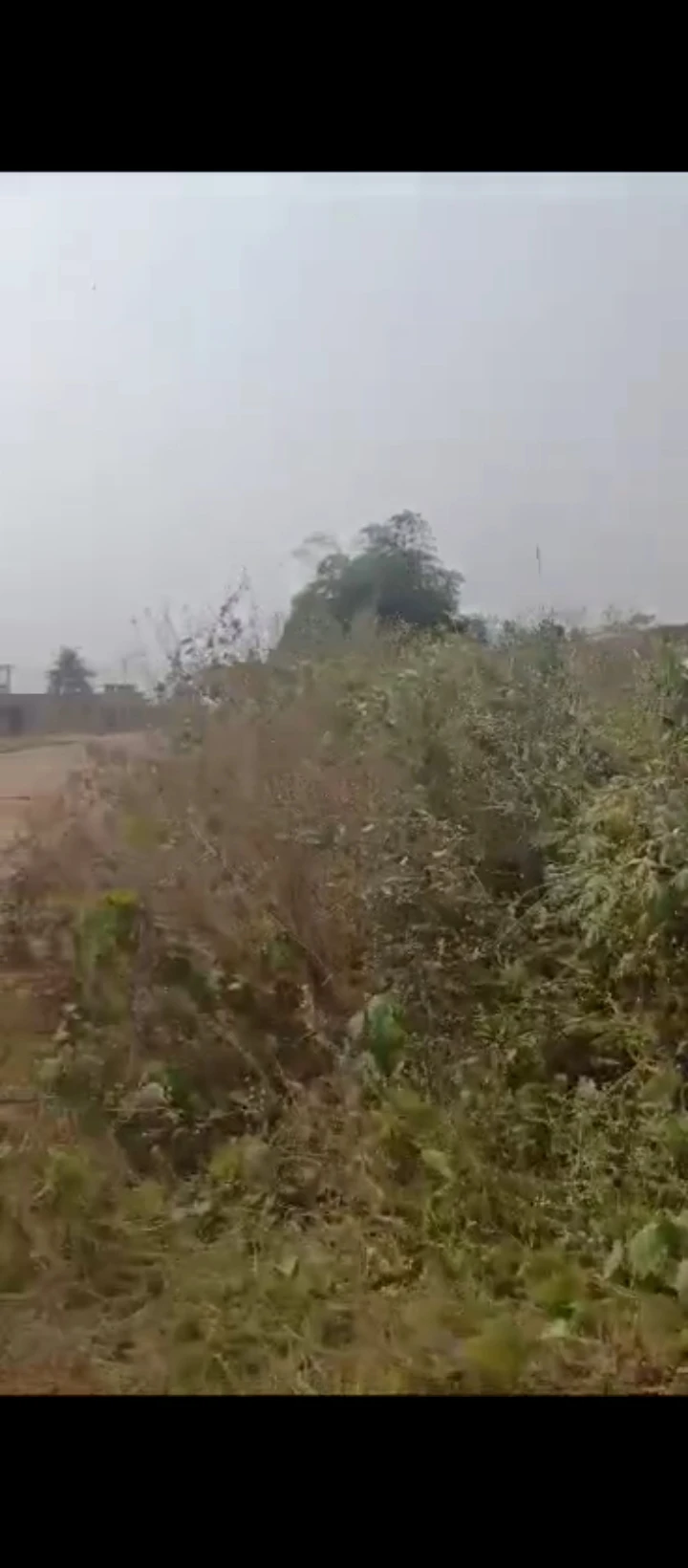 Land for Sale in Lucky way, Edo - Image 1
