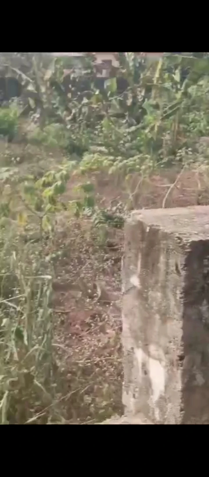 Land for Sale in Lucky way, Edo - Image 3