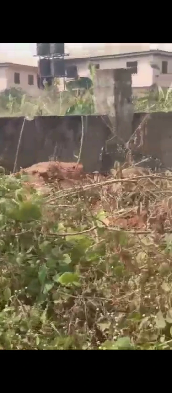 Land for Sale in Lucky way, Edo - Image 5
